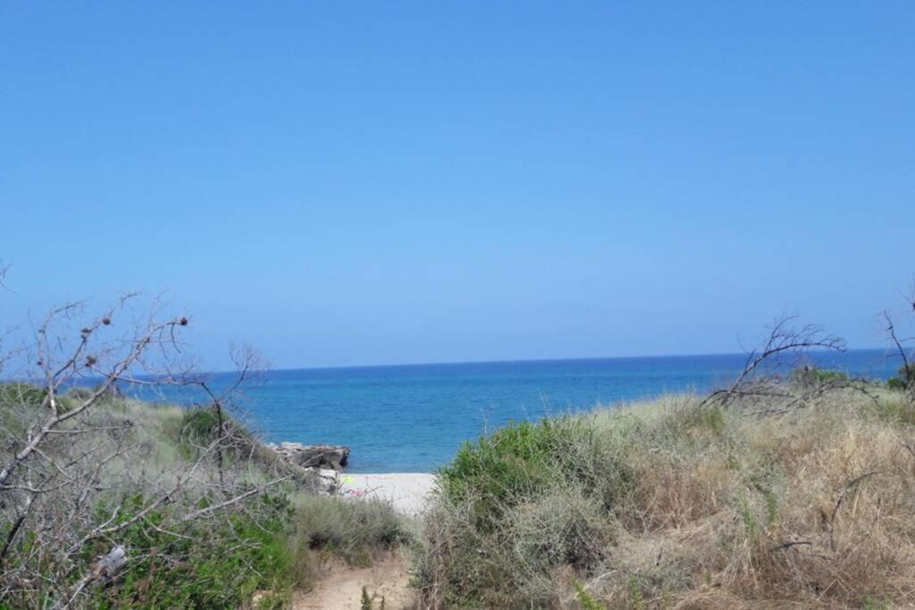 Appartement Les Pieds Dans L'Eau 300 M Plage - 2 Piscines Linguizzetta 外观 照片