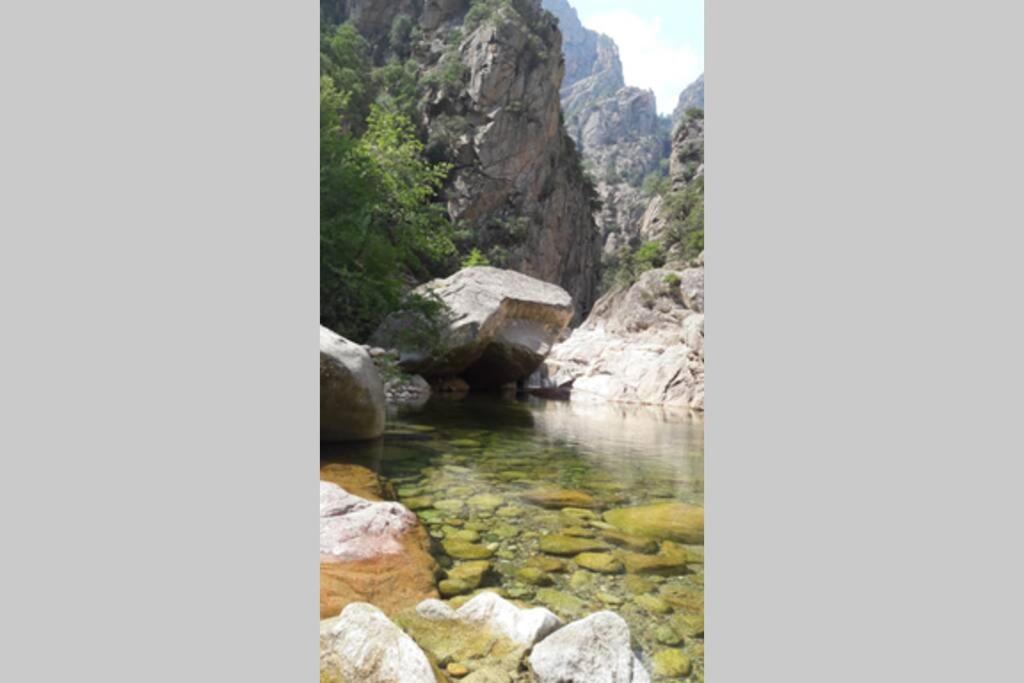 Appartement Les Pieds Dans L'Eau 300 M Plage - 2 Piscines Linguizzetta 外观 照片